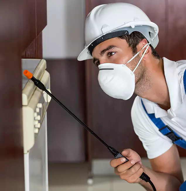 Why Meridian Homeowners Rely on Meridian Pest Control Pro for Tick Treatment?