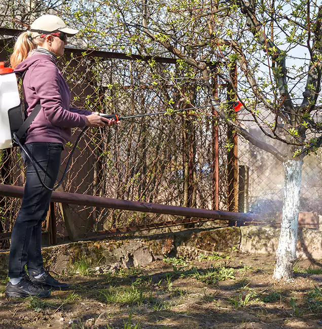 Why Meridian Homeowners Choose Meridian Pest Control Pro for Mosquito Abatement?