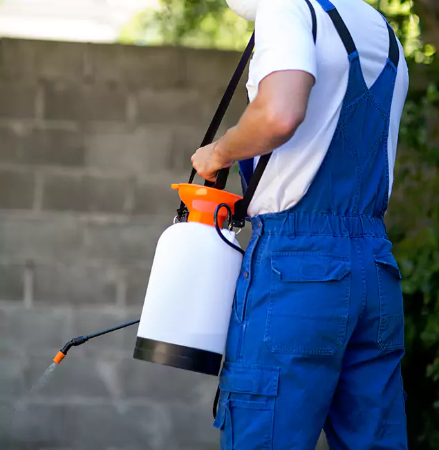 Why Meridian Homeowners Rely on Meridian Pest Control Pro for Mosquito Control?