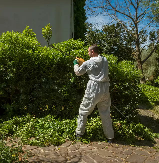Why Meridian Pest Control Pro Leads Mosquito Control in Meridian, ID?