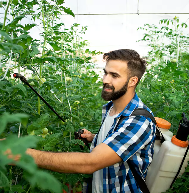 Why Meridian Homeowners Choose Meridian Pest Control Pro for Mosquito Spraying?