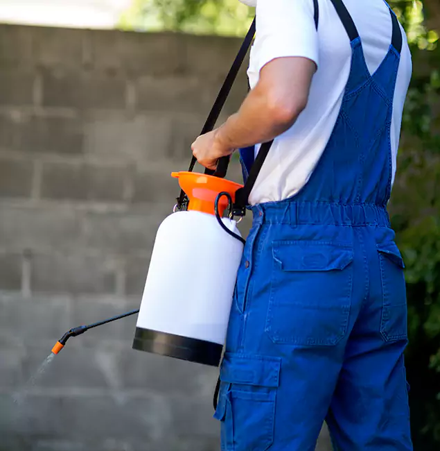 Why Meridian Pest Control Pro Delivers the Best Mosquito Control in Meridian, ID?