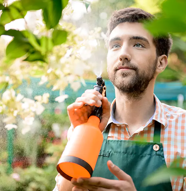 Why Meridian Homeowners Call Meridian Pest Control Pro for Mosquitoes in House?