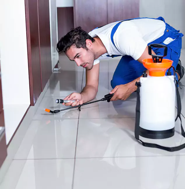 Why Meridian Pest Control Pro Is the Proven Choice in Meridian, ID?