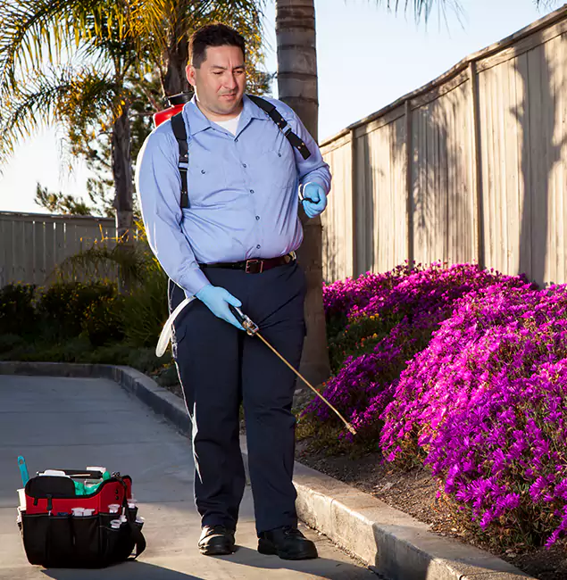 Why Choose Meridian Pest Control Pro in Meridian, ID?