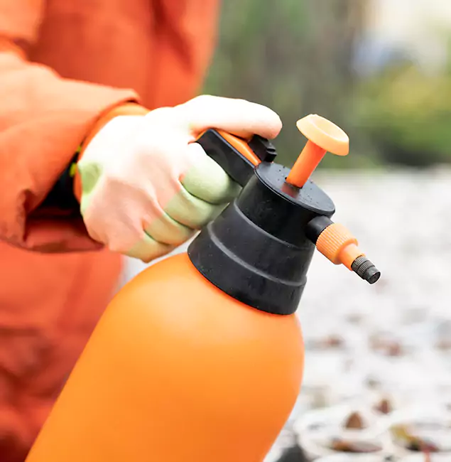 Why Choose Meridian Pest Control Pro for Orange Termite Treatment in Meridian, ID?