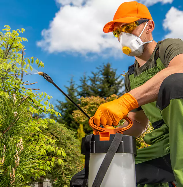 Why Choose Meridian Pest Control Pro for Outdoor Pest Control in Meridian, ID?