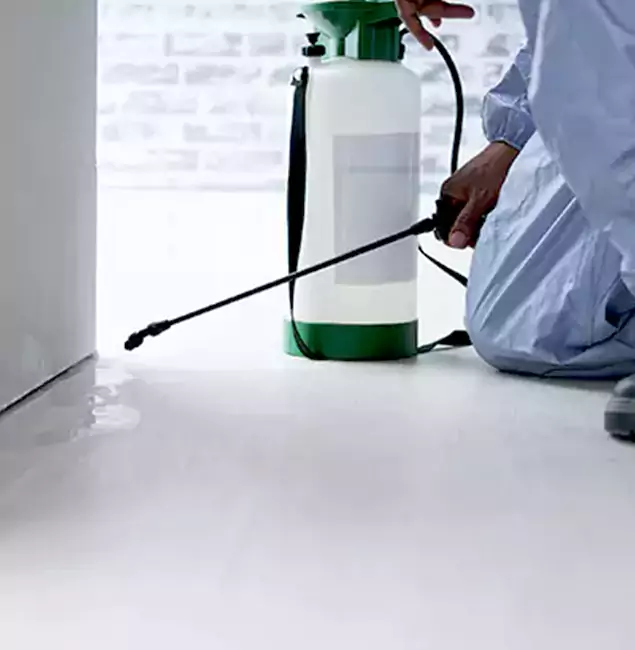 Why Choose Meridian Pest Control Pro for Rat Exterminator in Meridian, ID?