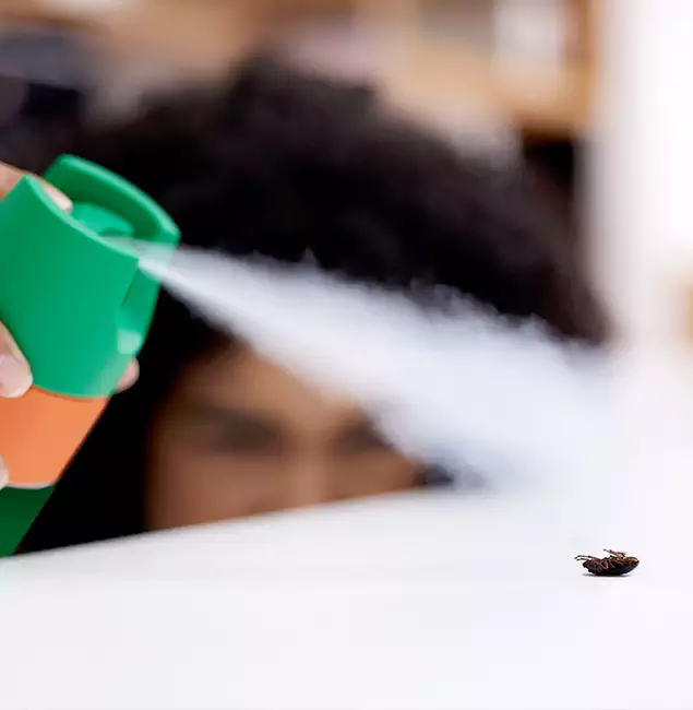 Why Meridian, ID Homeowners Choose Meridian Pest Control Pro for Roach Pest Control?