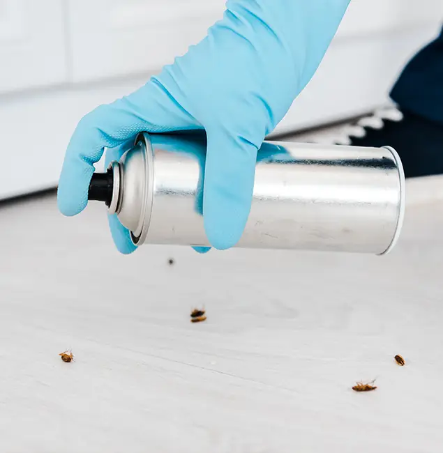 Why Choose Meridian Pest Control Pro for Safe Bed Bug Treatment in Meridian, ID?