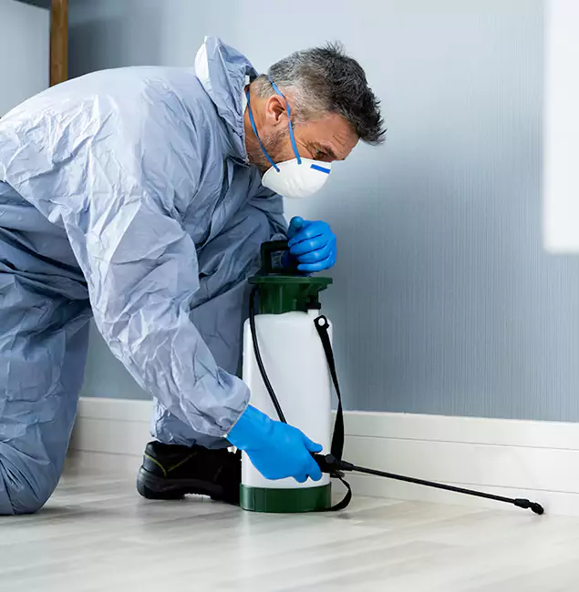 Why Choose Meridian Pest Control Pro for Subterranean Termites Treatment in Meridian, ID?