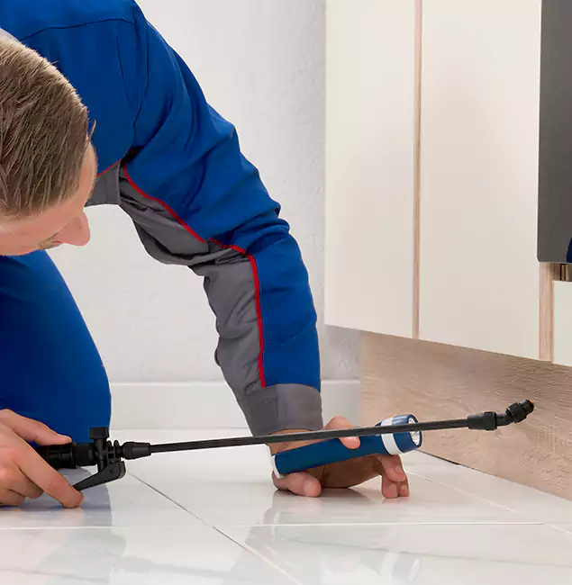 Why Meridian Residents Choose Meridian Pest Control Pro to Get Rid of Sugar Ants?