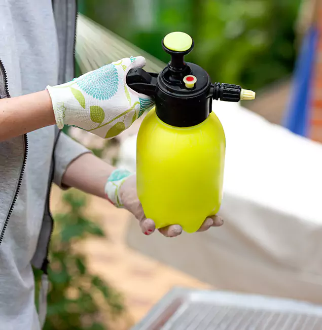 Why Choose Us: Meridian Pest Control Pro Termite Spraying Experts in Meridian, ID?