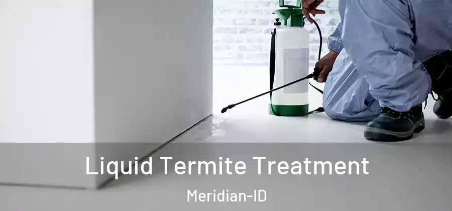  Liquid Termite Treatment Meridian-ID