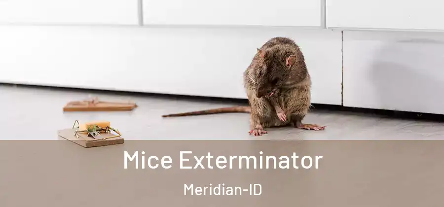Mice Exterminator Meridian-ID