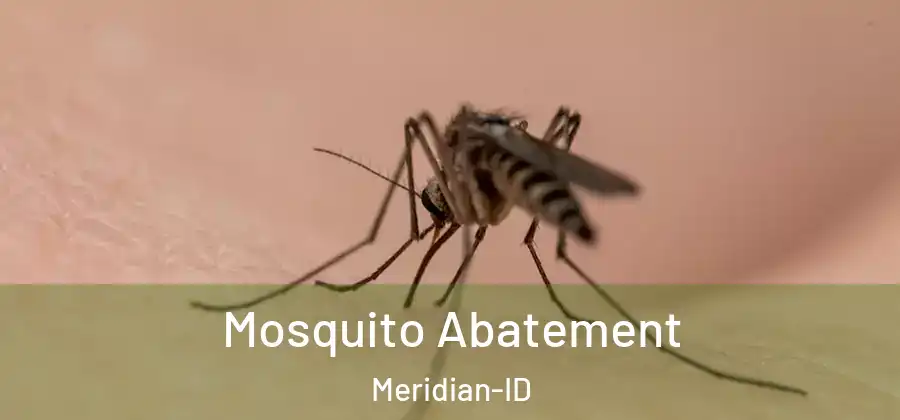  Mosquito Abatement Meridian-ID