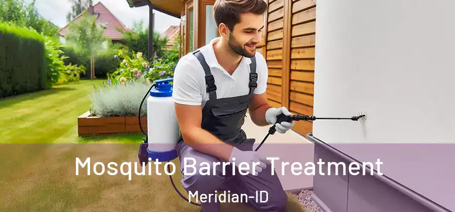 Mosquito Barrier Treatment Meridian-ID
