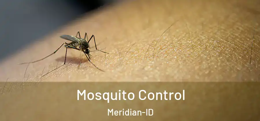 Mosquito Control Meridian-ID