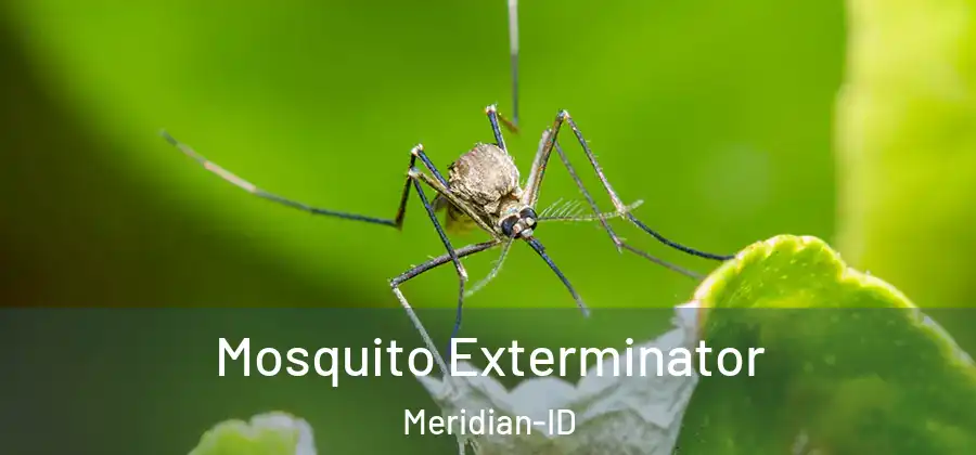 Mosquito Exterminator Meridian-ID