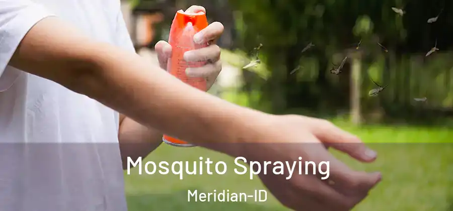 Mosquito Spraying Meridian-ID