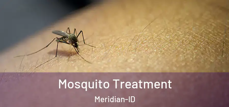 Mosquito Treatment Meridian-ID