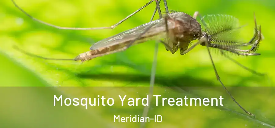 Mosquito Yard Treatment Meridian-ID