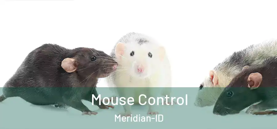  Mouse Control Meridian-ID