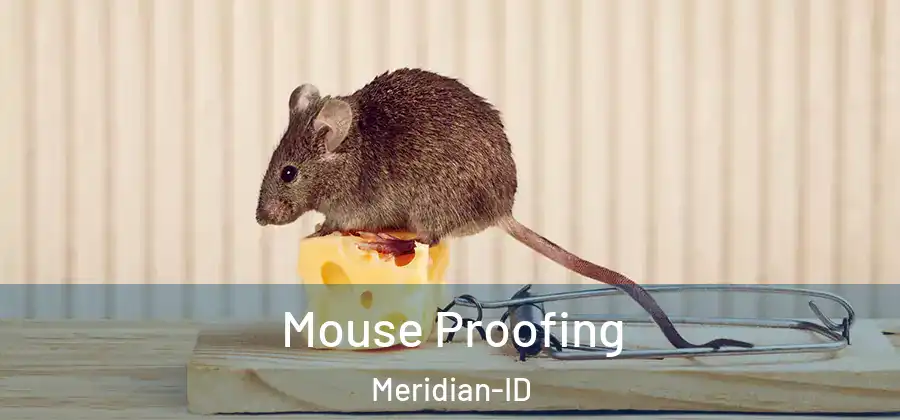  Mouse Proofing Meridian-ID