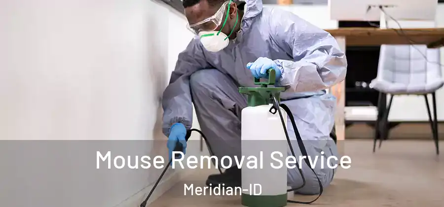  Mouse Removal Service Meridian-ID