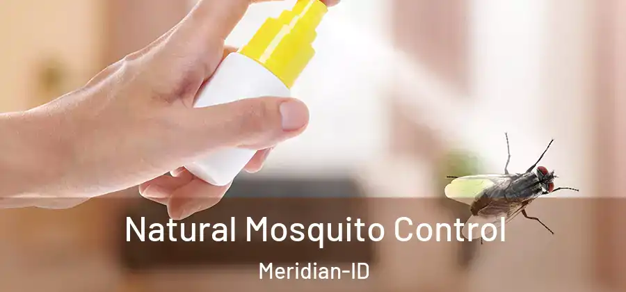 Natural Mosquito Control Meridian-ID