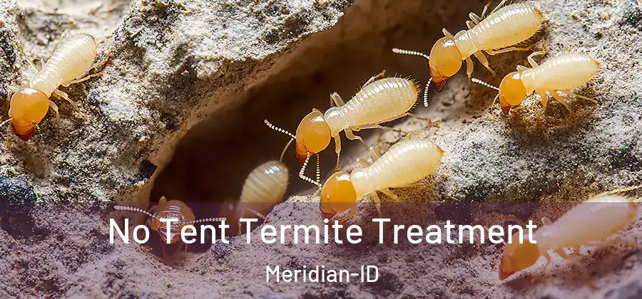 No Tent Termite Treatment Meridian-ID