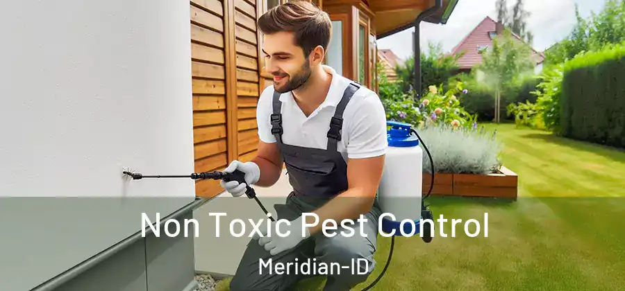  Non Toxic Pest Control Meridian-ID