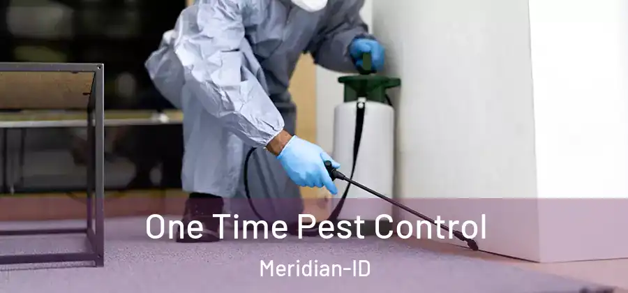  One Time Pest Control Meridian-ID