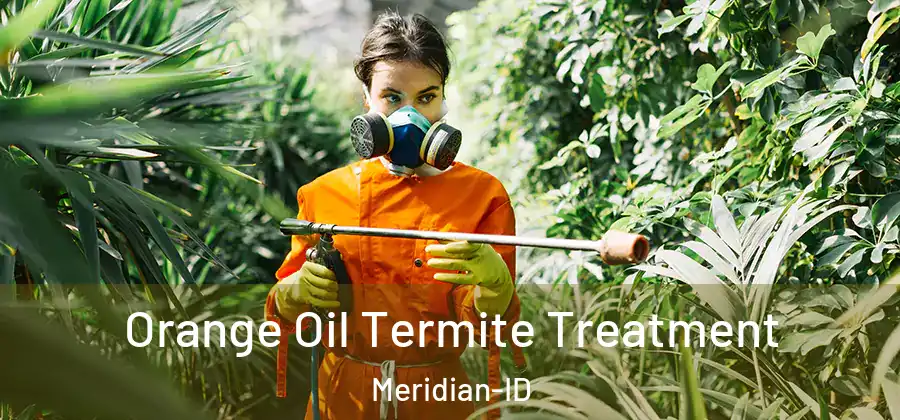 Orange Oil Termite Treatment Meridian-ID
