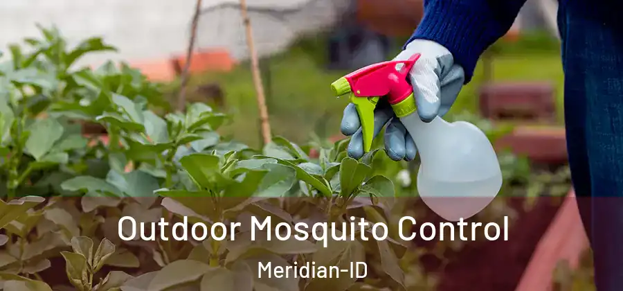  Outdoor Mosquito Control Meridian-ID