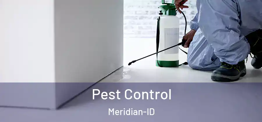 Pest Control Meridian-ID