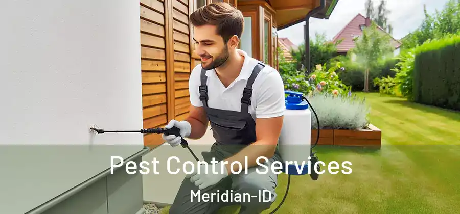 Pest Control Services Meridian-ID