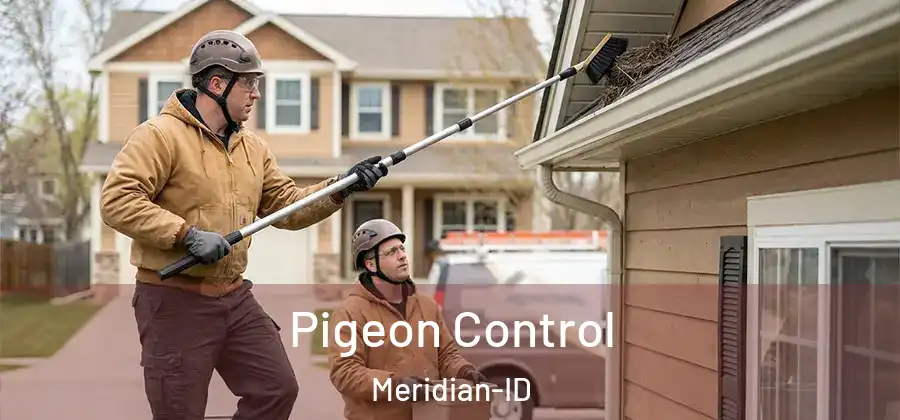 Pigeon Control Meridian-ID
