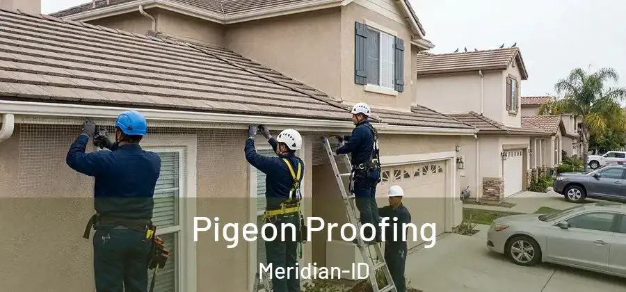 Pigeon Proofing Meridian-ID