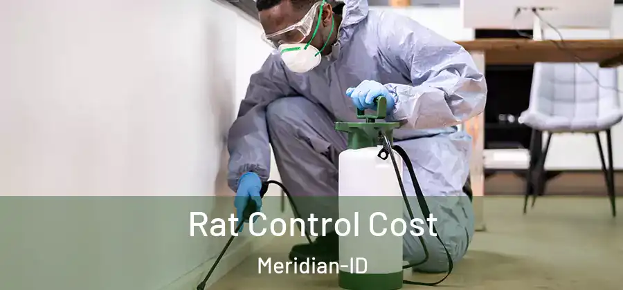 Rat Control Cost Meridian-ID