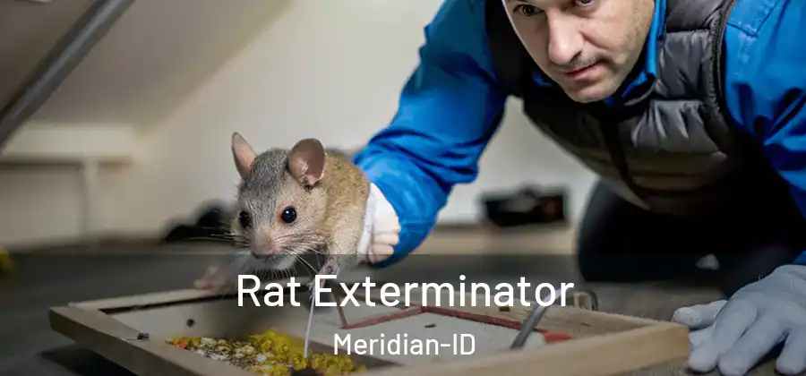 Rat Exterminator Meridian-ID