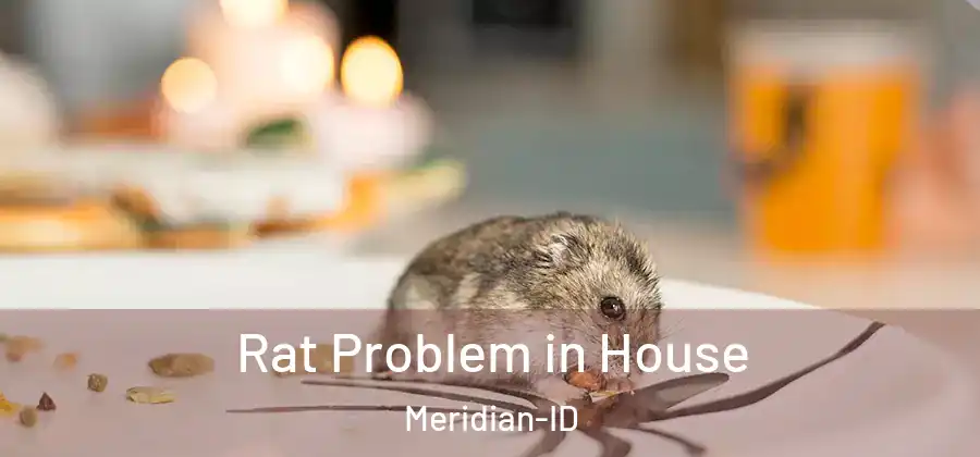  Rat Problem in House Meridian-ID