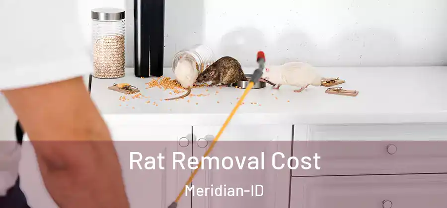 Rat Removal Cost Meridian-ID