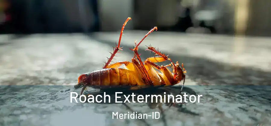  Roach Exterminator Meridian-ID
