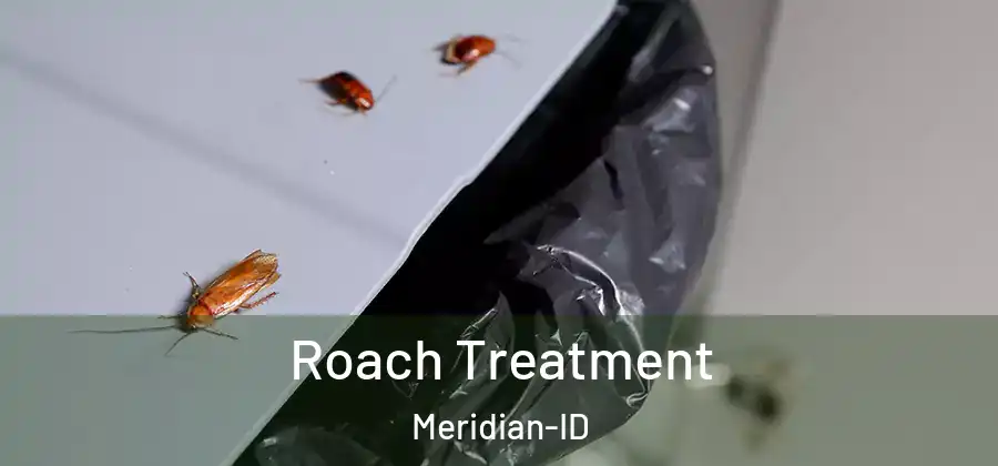  Roach Treatment Meridian-ID
