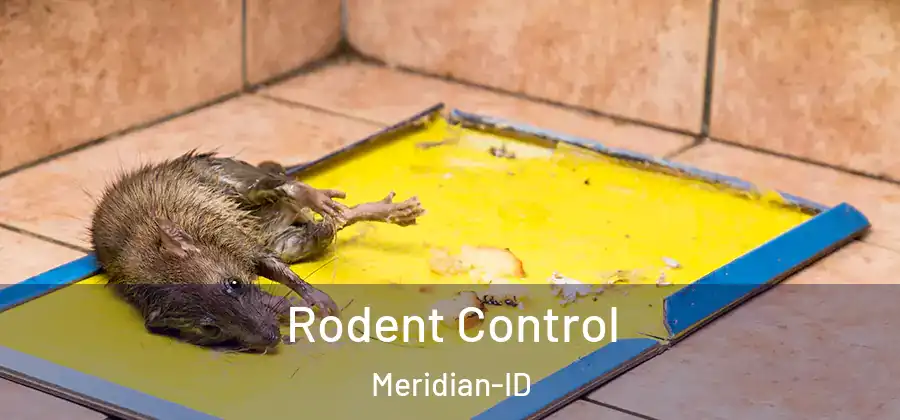 Rodent Control Meridian-ID