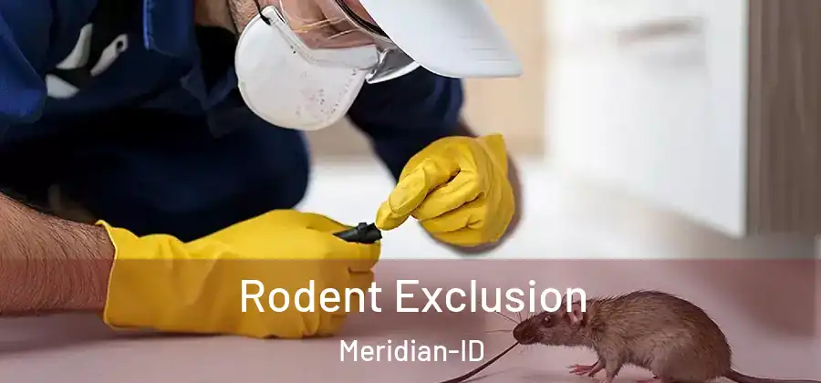 Rodent Exclusion Meridian-ID