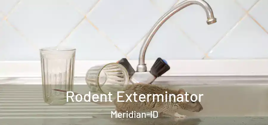 Rodent Exterminator Meridian-ID