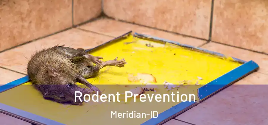 Rodent Prevention Meridian-ID