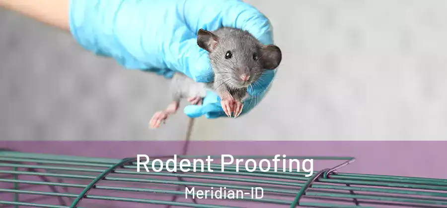  Rodent Proofing Meridian-ID